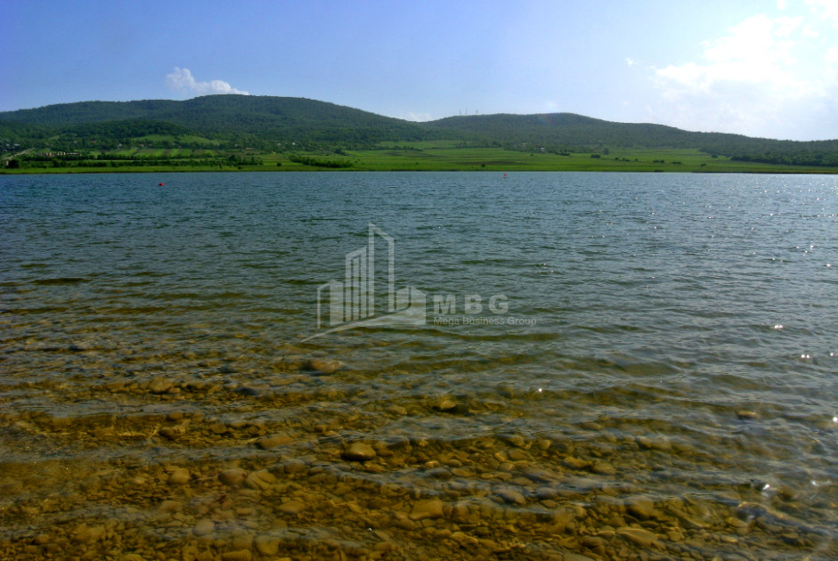 დუშეთის რაიონი, სოფ. ბაზალეთი.