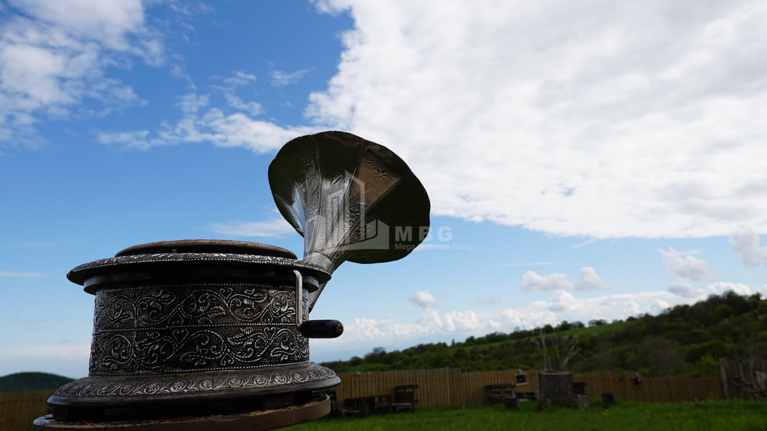 თეთრიწყაროს რაიონი, სოფელი ორბეთი - Green Space