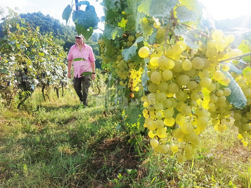 Рача - Лечхуми, Квемо Сванети