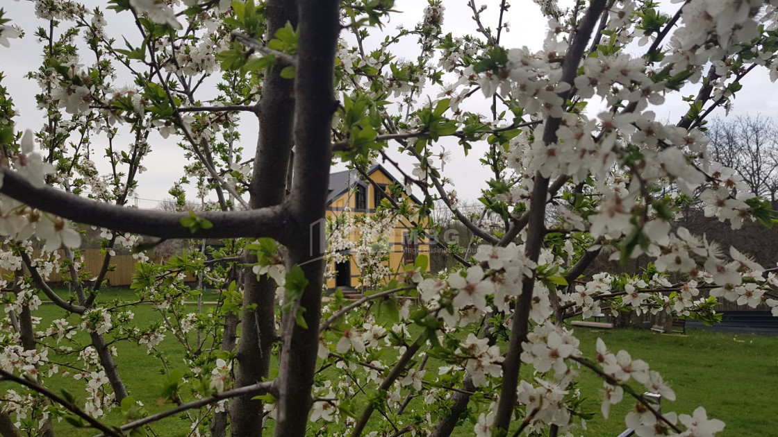 თეთრიწყაროს რაიონი, სოფელი ორბეთი - Green Space