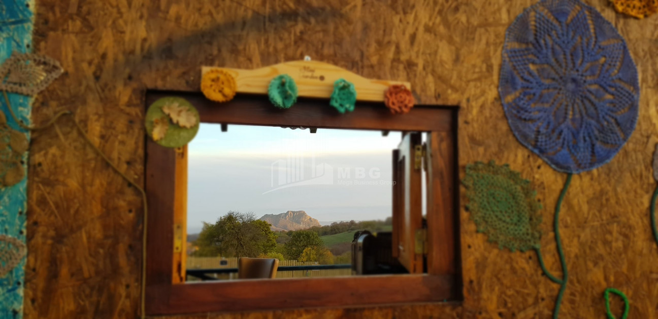 თეთრიწყაროს რაიონი, სოფელი ორბეთი - Green Space