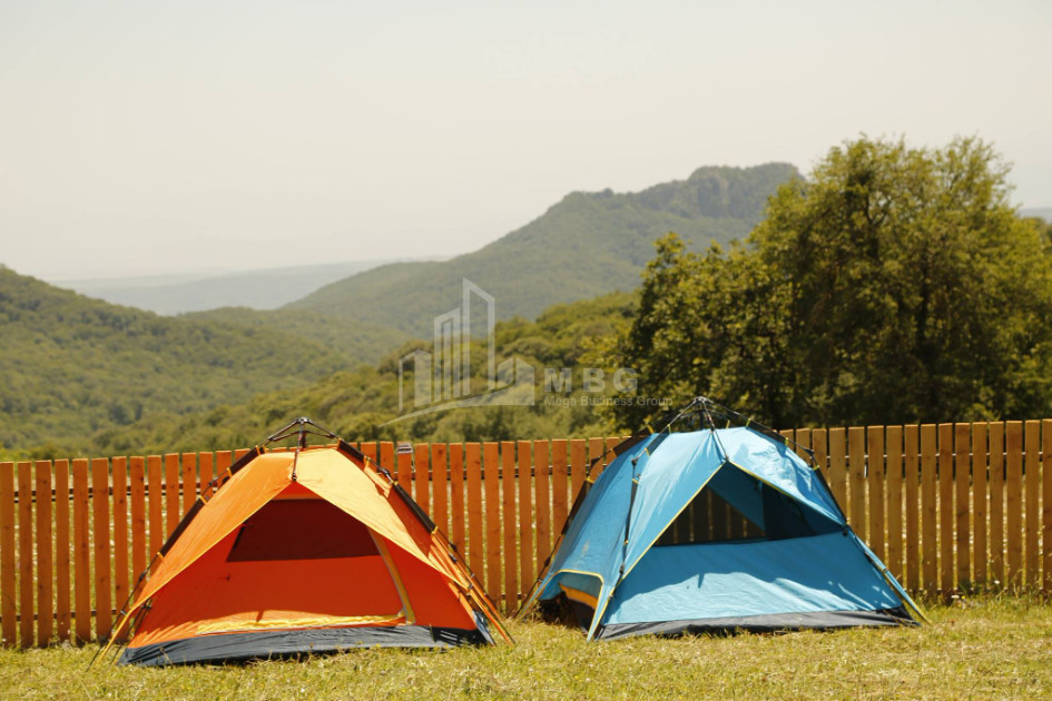 თეთრიწყაროს რაიონი, სოფელი ორბეთი - Green Space