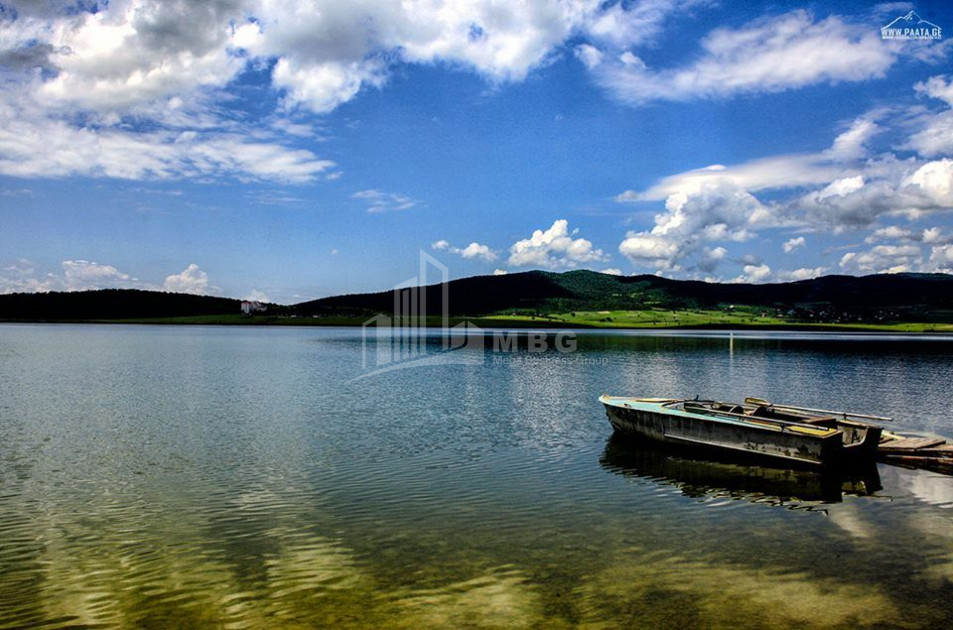 დუშეთის რაიონი, სოფ. ბაზალეთი.