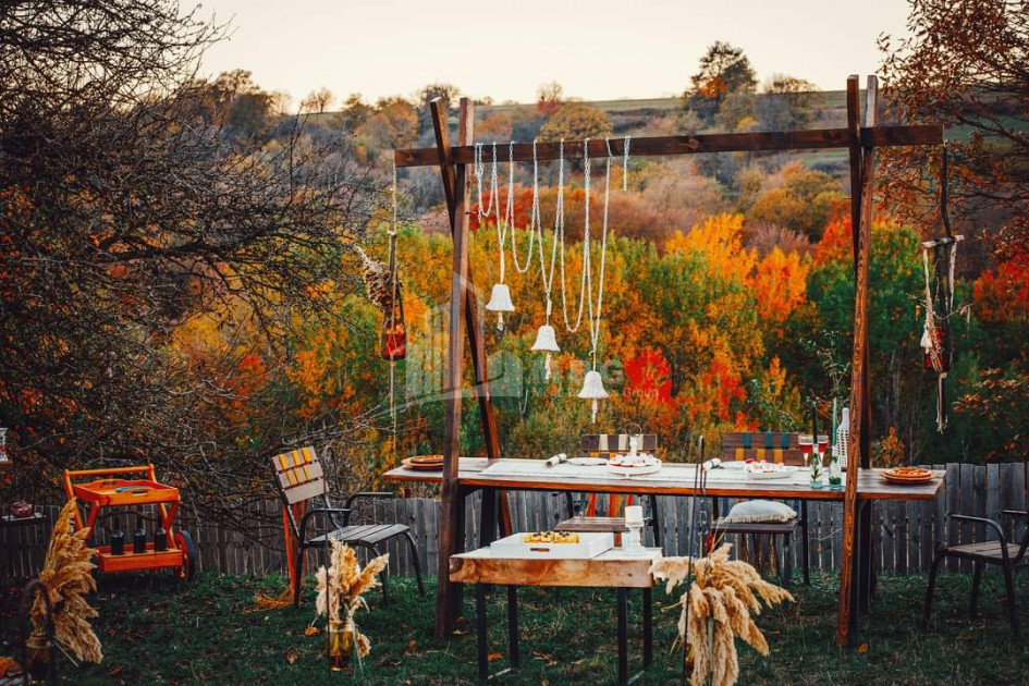 თეთრიწყაროს რაიონი, სოფელი ორბეთი - Green Space