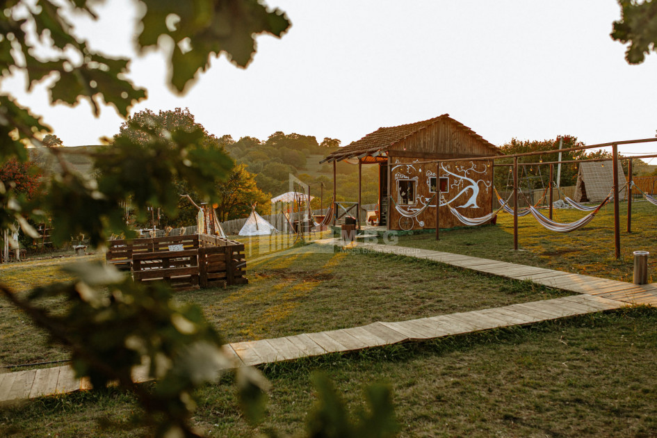 თეთრიწყაროს რაიონი, სოფელი ორბეთი - Green Space