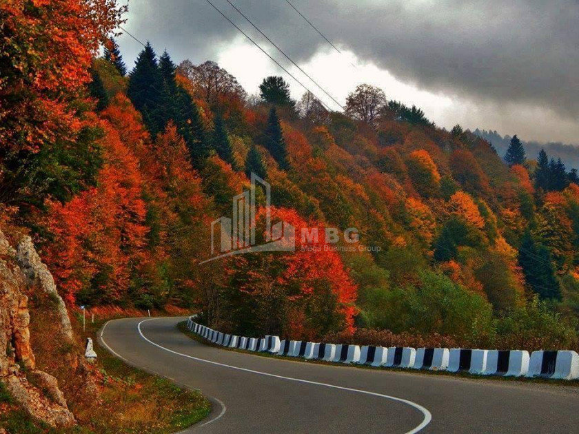 Рача - Лечхуми, Квемо Сванети