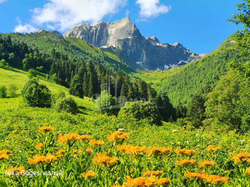 Рача - Лечхуми, Квемо Сванети
