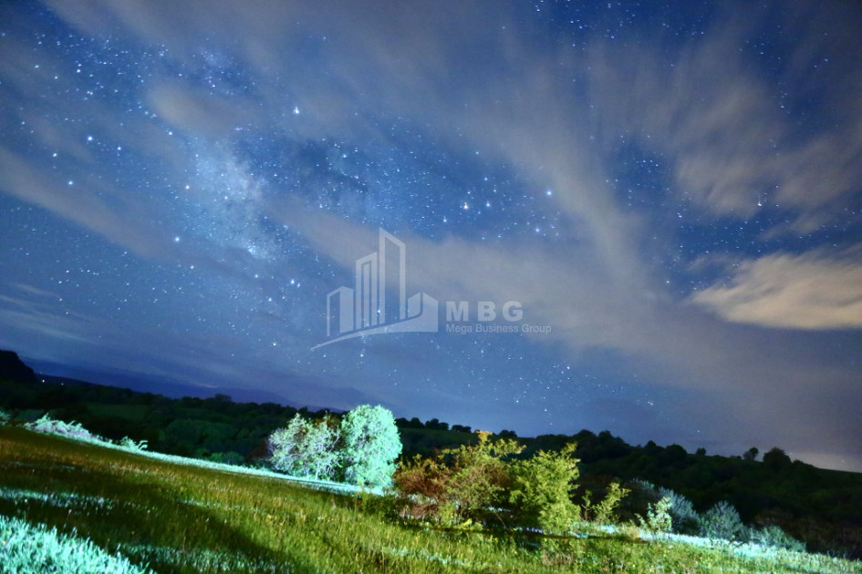 თეთრიწყაროს რაიონი, სოფელი ორბეთი - Green Space