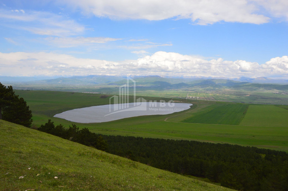 გორის რაიონი, ნადარბაზევის ტბა.