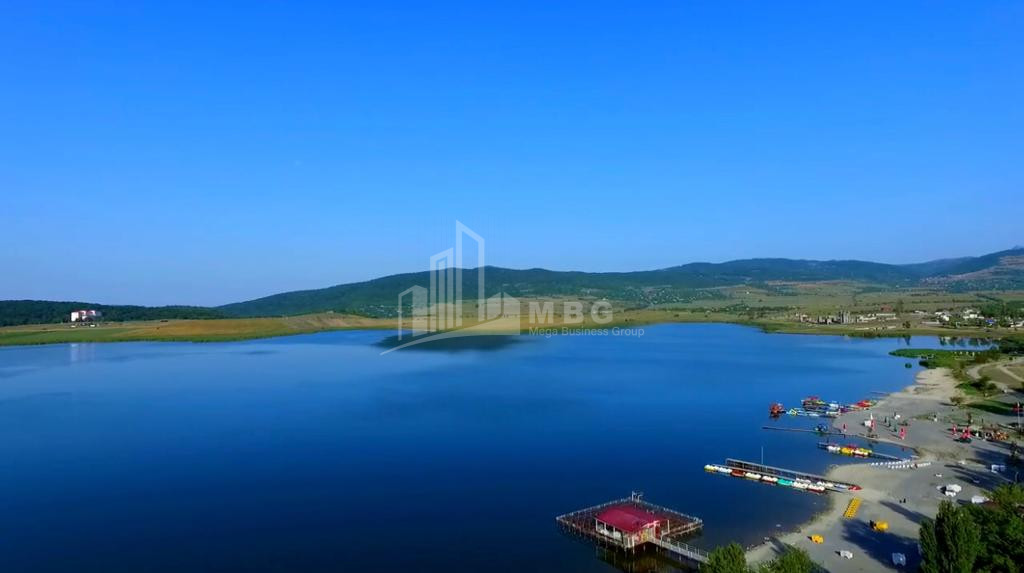 დუშეთის რაიონი, სოფ. ბაზალეთი.