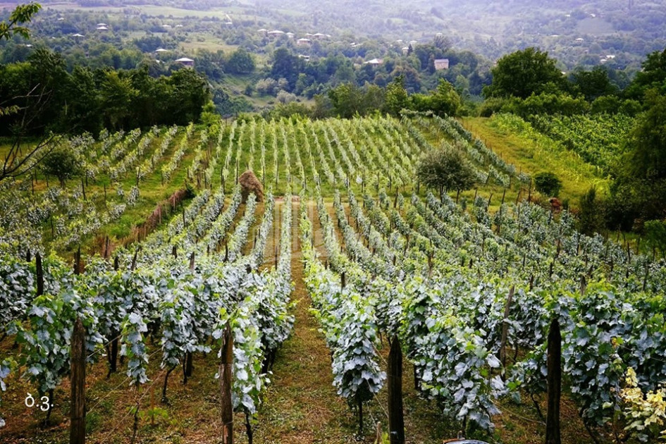 Рача - Лечхуми, Квемо Сванети