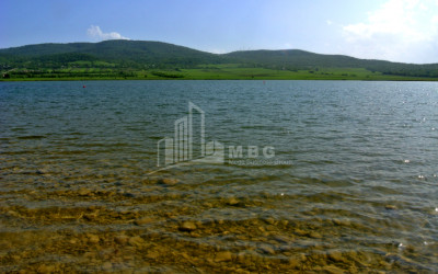 დუშეთის რაიონი, სოფ. ბაზალეთი.