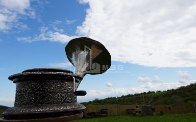 თეთრიწყაროს რაიონი, სოფელი ორბეთი - Green Space