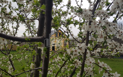 თეთრიწყაროს რაიონი, სოფელი ორბეთი - Green Space