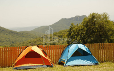 თეთრიწყაროს რაიონი, სოფელი ორბეთი - Green Space