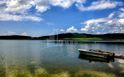 დუშეთის რაიონი, სოფ. ბაზალეთი.