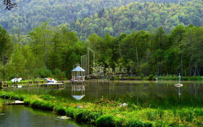 Рача - Лечхуми, Квемо Сванети