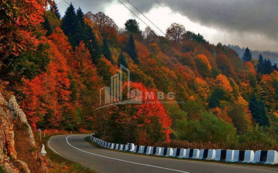 Рача - Лечхуми, Квемо Сванети