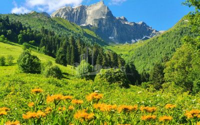 Рача - Лечхуми, Квемо Сванети