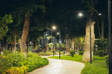Tbilisi