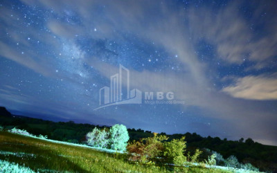 თეთრიწყაროს რაიონი, სოფელი ორბეთი - Green Space