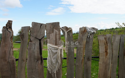 თეთრიწყაროს რაიონი, სოფელი ორბეთი - Green Space