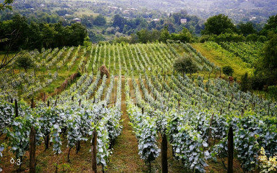 Рача - Лечхуми, Квемо Сванети