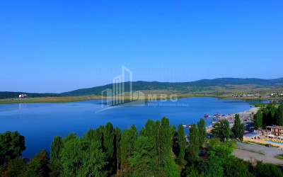 დუშეთის რაიონი, სოფ. ბაზალეთი.