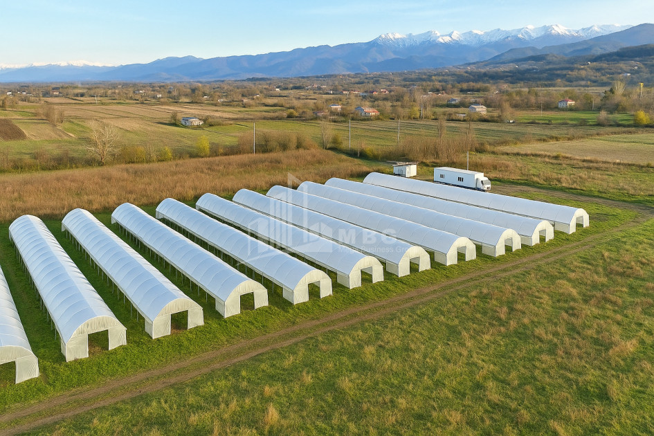 იყიდება მიწის ნაკვეთი ვანი იმერეთი