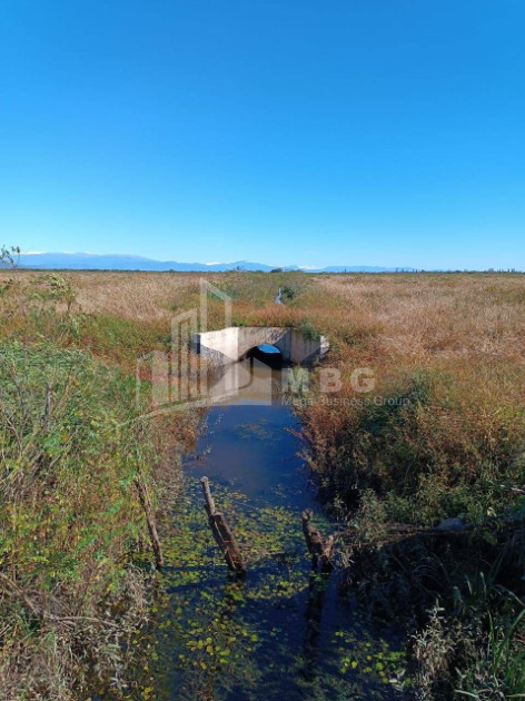 იყიდება მიწის ნაკვეთი სენაკი სამეგრელო   ზემო სვანეთი