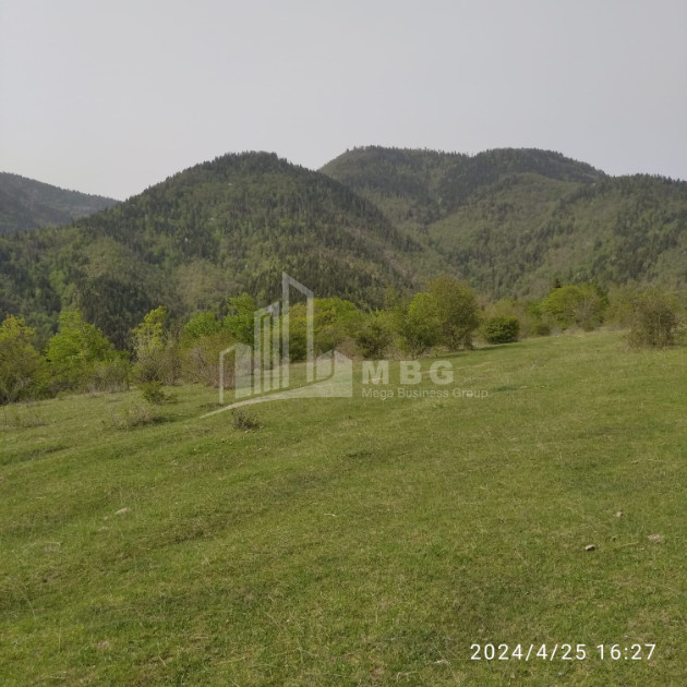 იყიდება მიწის ნაკვეთი მზეთამზე ბორჯომი სამცხე   ჯავახეთი