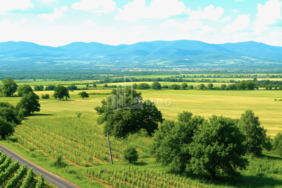 Продается Земля Шильда Кварели Кахети