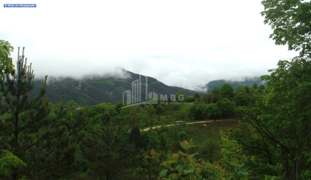 Продается Земля Иста Амбролаури Рача   Лечхуми Квемо Сванети