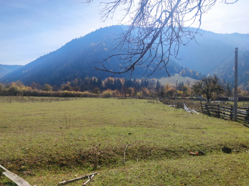 იყიდება მიწის ნაკვეთი სადგერი ბორჯომი სამცხე   ჯავახეთი