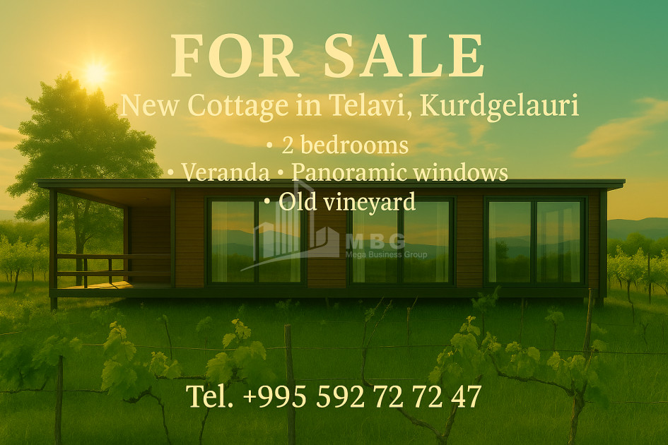 For Sale House Villa Kurdghelauri Telavi Kakheti
