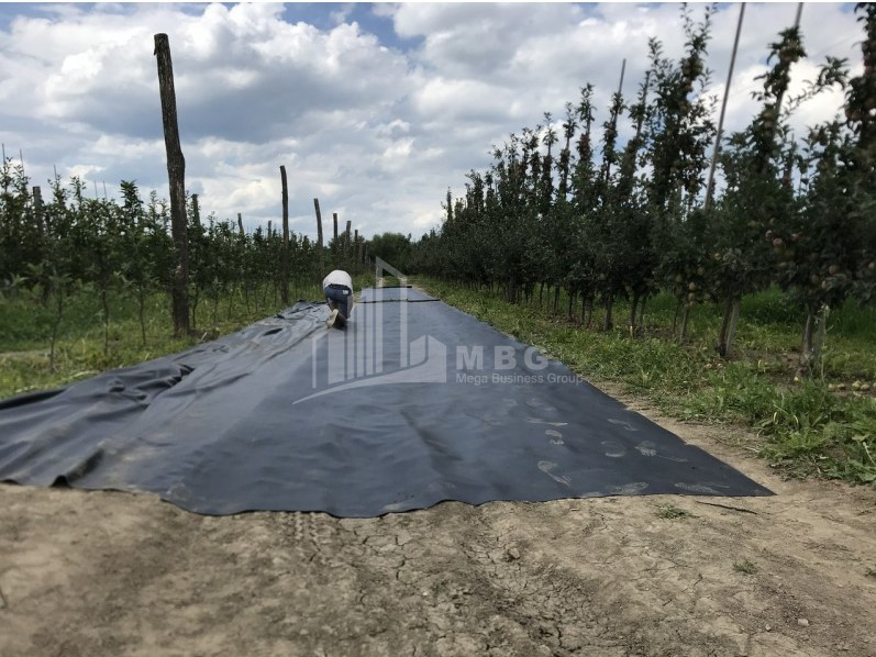 For Sale Land Marneuli Kvemo Kartli