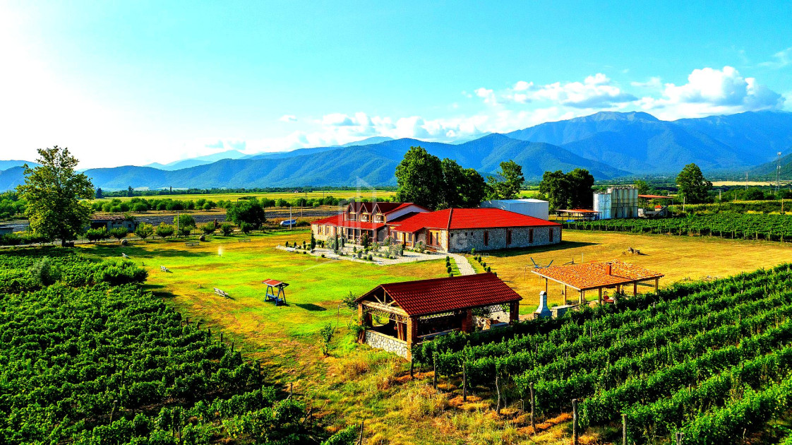 For Sale Commercial Shilda Kvareli Kakheti