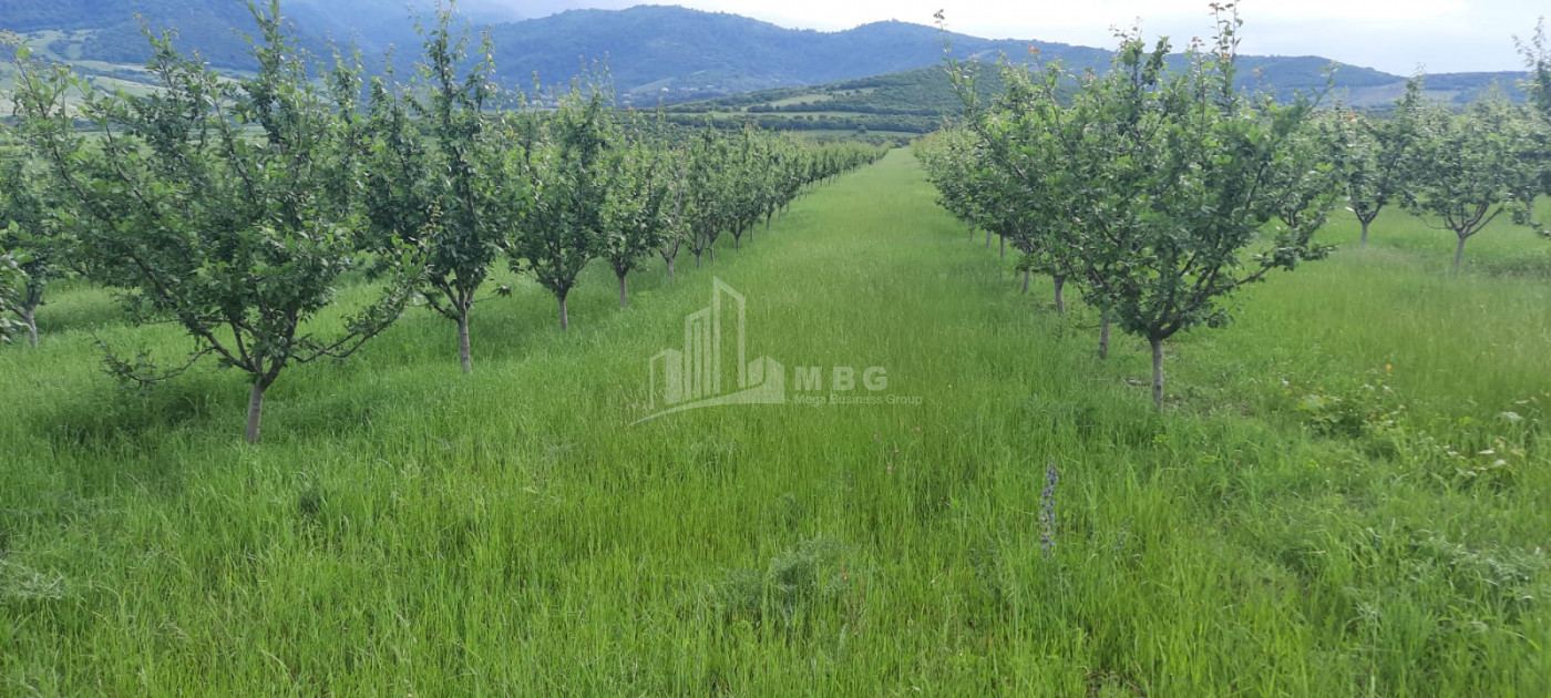 For Sale Land Marneuli Kvemo Kartli