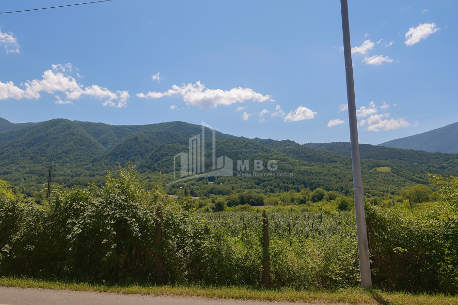 იყიდება მიწის ნაკვეთი კვაცხუთი ამბროლაური რაჭა   ლეჩხუმი ქვემო სვანეთი