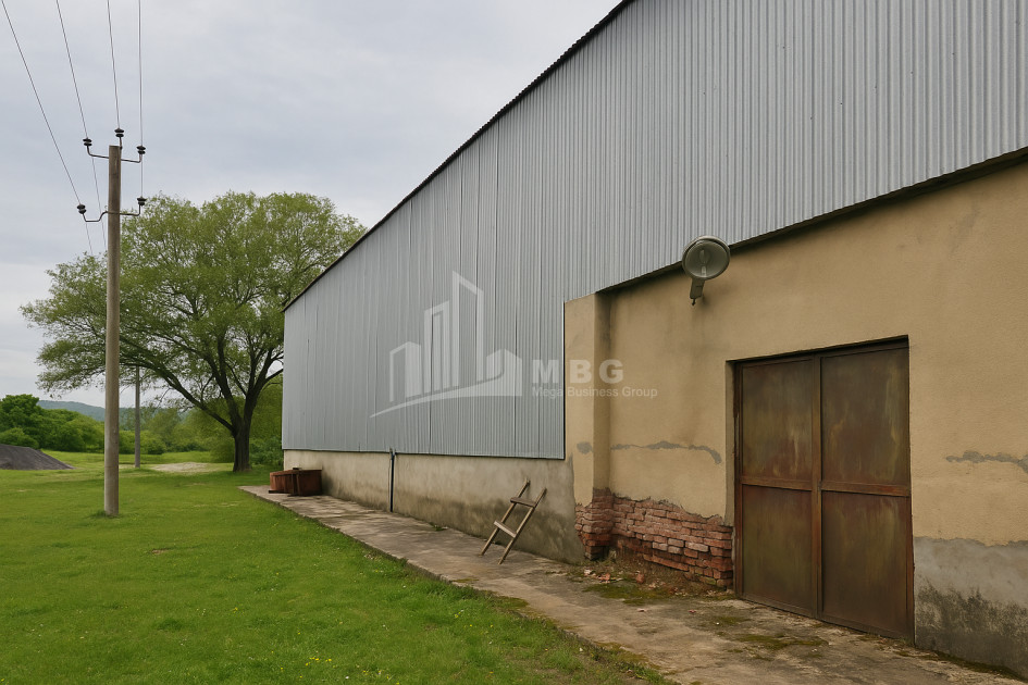 For Sale Commercial Ambrolauri Racha   Lechxumi Kvemo Svaneti