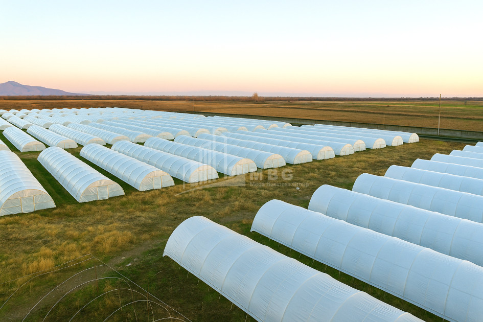 იყიდება მიწის ნაკვეთი ვანი იმერეთი