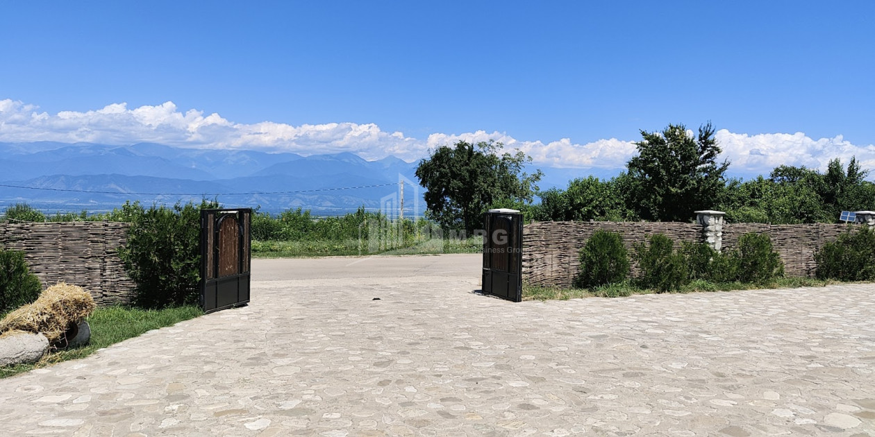 Продается Коммерческий Телави Кахети