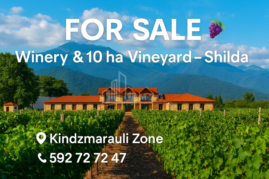 For Sale Commercial Shilda Kvareli Kakheti