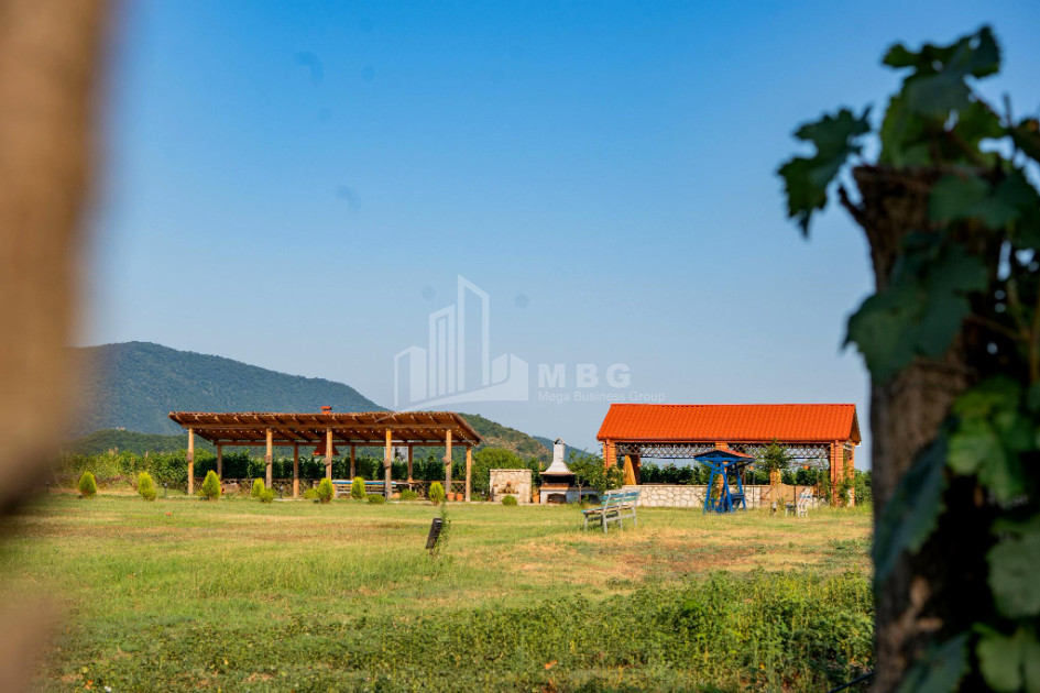For Sale Commercial Shilda Kvareli Kakheti