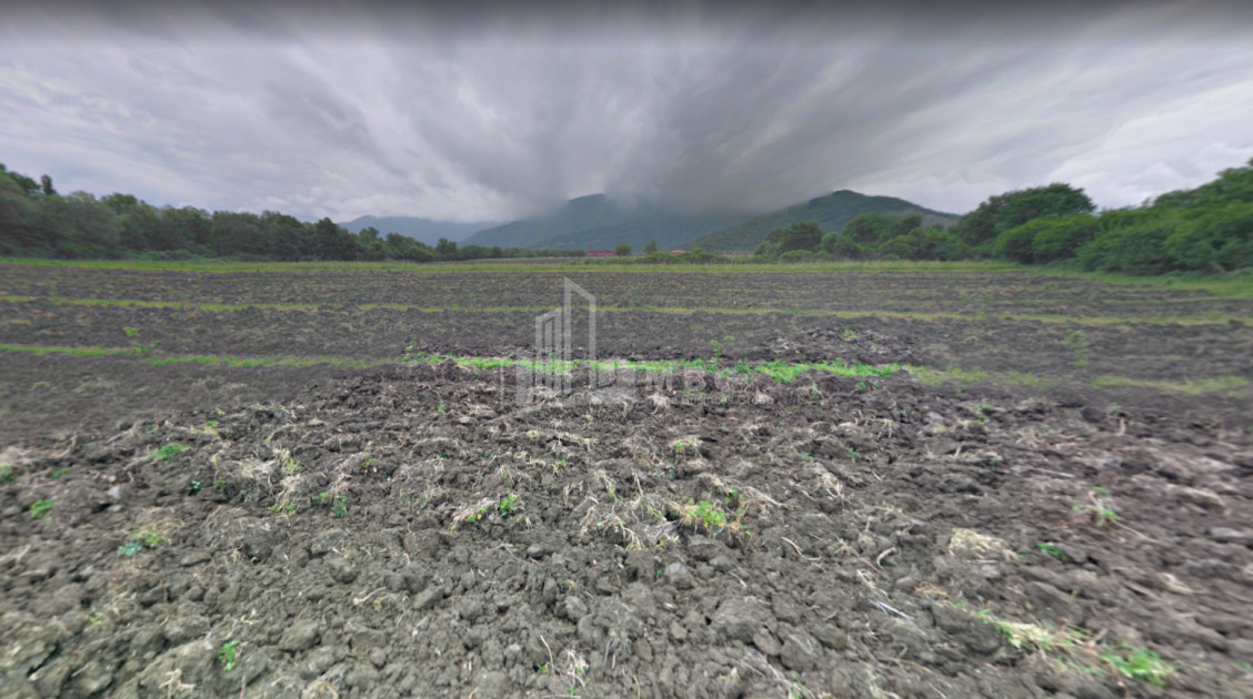 For Sale Land Kvareli Kakheti