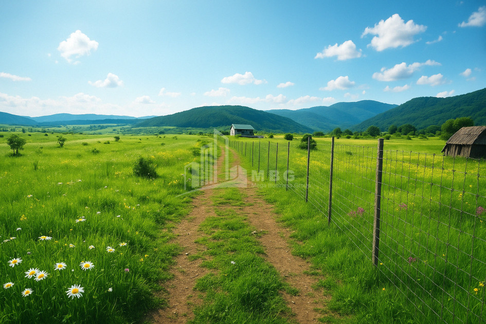 For Sale Land Zakaro Mtskheta Mtskheta   Mtianeti