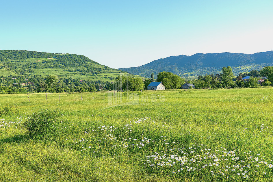 იყიდება მიწის ნაკვეთი ქვემო ნაქალაქარი თიანეთი მცხეთა   მთიანეთი