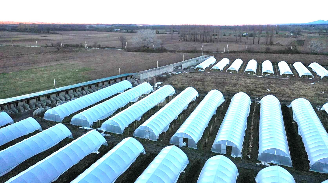 იყიდება მიწის ნაკვეთი ვანი იმერეთი