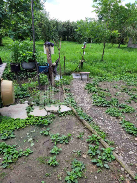 For Sale Land Chibati village Lanchkhuti Municipalities of Guria