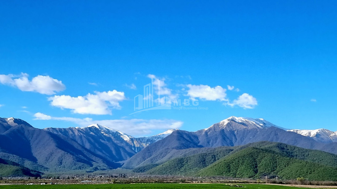 For Sale Land Eniseli Kvareli Kakheti